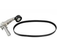 FEBI BILSTEIN 107424 Kit Cinghie Poly-V per CITROËN,DS,PEUGEOT