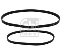 Kit cinghia trapezoidale multirighe 40858 FEBI BILSTEIN per FORD FIESTA V FUSION