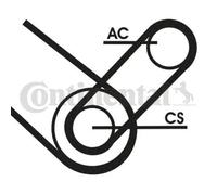 CONTITECH 4PK874 ELAST T1 Kit Cinghie Poly-V