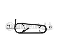 Kit cinghia trapezoidale multirighe 4PK922 ELAST T1 CONTINENTAL CTAM per PEUGEOT