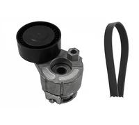 Set di cinghie Poly-V INA 529 0015 10