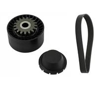 INA Kit cinghia 529 0016 10 trapezoidale multirighe per Renault Twingo II Wind