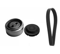 Set di cinghie Poly-V INA 529 0087 10
