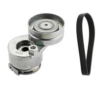 INA 529 0088 10 Kit Cinghie Poly-V