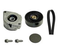 Set di cinghie Poly-V INA 529 0102 10