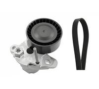 Set di cinghie Poly-V INA 529 0159 10