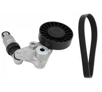INA Set cinghie Poly-V 529 0202 10 per SAAB, OPEL