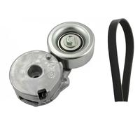 Set di cinghie Poly-V INA 529 0225 10
