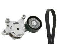 Ina 529 0261 10 Cinghia di Distribuzione