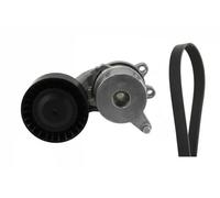 Ina 529 0262 10 Cinghia di Distribuzione
