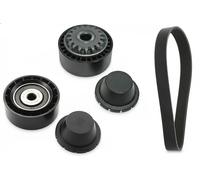 Kit cinghia trapezoidale multirighe 529 0280 10 INA per DACIA RENAULT NISSAN