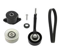 INA Kit Cinghie Poly-V 529031410