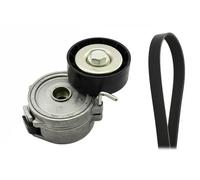 INA Kit Cinghie Poly-V 529 0315 10 1270mm