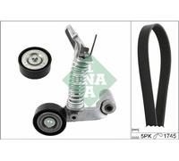 INA Kit Cinghie Poly-V 529 0319 10 1745mm