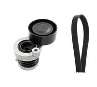 Set di cinghie Poly-V INA 529 0339 10