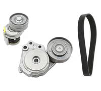 Set di cinghie Poly-V INA 529 0342 10