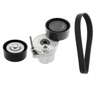 Set di cinghie Poly-V INA 529 0362 10