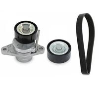 INA Kit Cinghie Poly-V per LADA NISSAN RENAULT DACIA 529 0366 10