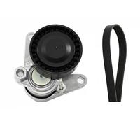 Kit cinghia trapezoidale multirighe 529 0367 10 INA per AUDI VW SKODA SEAT CUPRA