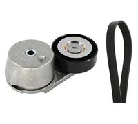 Set di cinghie Poly-V INA 529 0409 10