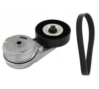 Set di cinghie Poly-V INA 529 0460 10