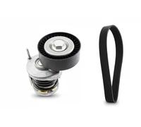 INA Set cinghie con nervatura a V 529047510 multirighe per VW Skoda Audi Seat