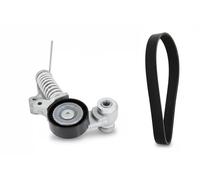 Set di cinghie Poly-V INA 529 0485 10
