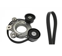 Set di cinghie Poly-V INA 529 0556 10