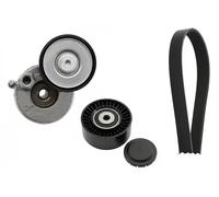 Kit cinghia trapezoidale multirighe 529 0591 10 INA per VW MULTIVAN T6
