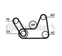 ContiTech Set cinghie Poly-V 6PK1019 ELAST T1 – Kit per Ford Fiesta/C‑Max 1.25-1.6 Benzina