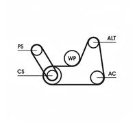 ContiTech Set cinghie Poly-V 6PK1019 ELAST T1 – Kit per Ford Fiesta/C‑Max 1.25-1.6 Benzina