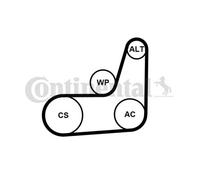 CONTITECH 6PK1019 ELAST T2 Kit Cinghie Poly-V