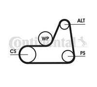 CONTITECH Kit Cinghie Poly-V 6PK1042 ELAST T1