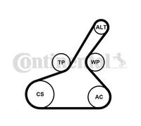 Contitech 6PK1190K1 - Kit cinghia di accessori