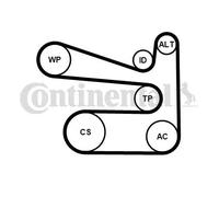 ContiTech Kit Cinghie Poly-V 6PK1693K1 multirighe per VW Skoda Seat
