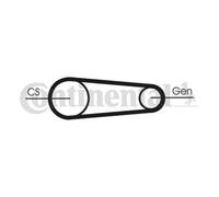 Kit cinghia trapezoidale multirighe 6PK842 ELAST T1 CONTINENTAL CTAM per VW AUDI