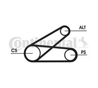 Kit cinghia trapezoidale multirighe 6PK873 ELAST T1 CONTINENTAL CTAM per PEUGEOT