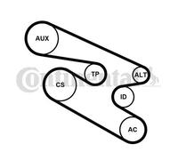 CONTINENTAL CTAM 7PK1104K1 Kit Cinghie Poly-V per BMW
