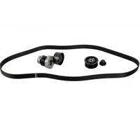 Set di cinghie Poly-V FEBI BILSTEIN 178230