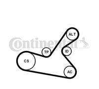Kit cinghia trapezoidale multirighe con guidacinghie 6PK1125K1 CONTINENTAL CTAM
