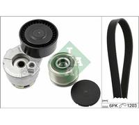 Set di cinghie Poly-V INA 529 0009 20