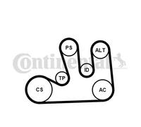 Kit cinghia trapezoidale multirighe con rullo tenditore 5PK1750K1 per RENAULT