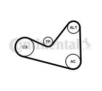 ContiTech Cinghia trapezoidale 6PK1050K3 – multirighe con rullo tenditore – Set per Citroën