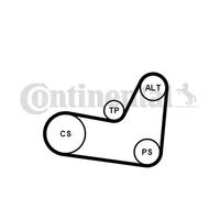 CONTINENTAL CTAM 6PK1070K2 Kit Cinghie Poly-V per SEAT,SKODA,VW