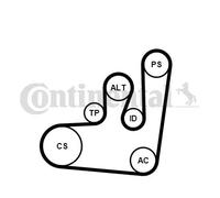CONTITECH 6PK1145K1 Kit Cinghie Poly-V