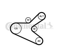 Kit cinghia trapezoidale multirighe con rullo tenditore 6PK1153K2 per PEUGEOT