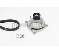 ContiTech Kit cinghie Poly-V 6PK1173K2 per BMW con rullo tenditore