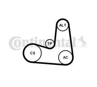 CONTITECH 6PK1180K5 Kit Cinghie Poly-V
