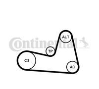 CONTINENTAL CTAM 6PK1200K2 Kit Cinghie Poly-V per DACIA,NISSAN,RENAULT
