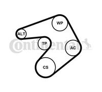 ContiTech Kit cinghie Poly-V 6PK1205K1 con rullo tenditore per Opel Adam